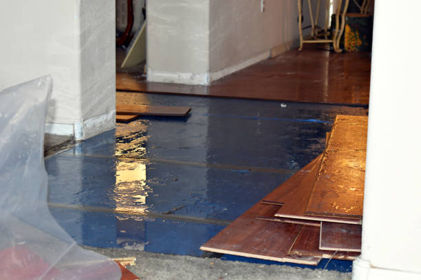 Professional Burst Pipe Cleanup technician working in Castleton, VA